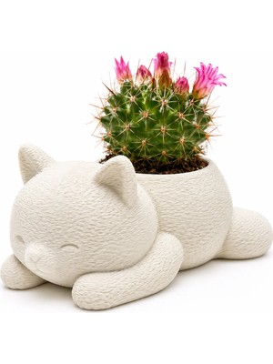 Msv Studio 3d Msv Studio Dekoratif Kedi Saksı / Sukulent ve Kaktüs Için Mini Saksı