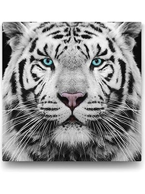 Tech Butiq Yeşil Gözlü Beyaz Kaplan Tablosu - 80X80CM