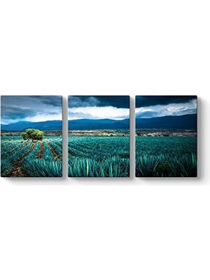 Tech Butiq Agave Tarlası Tablosu 126 x 55-3 Parçalı