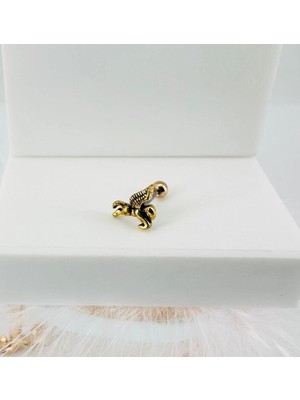 Tedarik Tragus Kıkırdak Küpesi Najmaddin