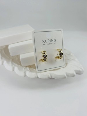 Tedarik Xupıng Küpe Najmaddin