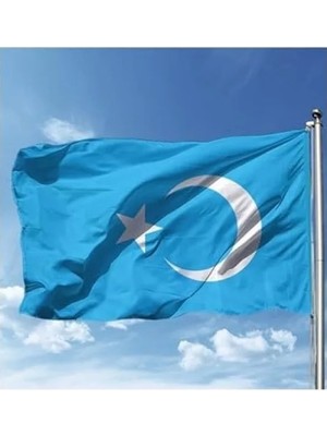Die Grup Doğu Türkistan Milli Bayrağı 70X105 cm Raşel Dijital Baskı
