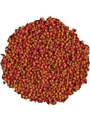 Die Grup Cichlid Renk Artırıcı Mini Yem - 100GR