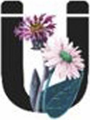 Zero Land Semeglbl Harf Figürlü Kaktüs Sukulent Saksısı-Ü