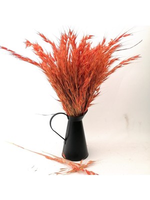 Hidden Botanics Kuru Çiçek Turuncu Yulaf Otu  Bohem Ev Dekoru İçin 45 cm Şoklanmış Vazo Çiçeği