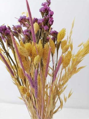 Hidden Botanics Kuru Çiçek Vazo Çiçekleri Şoklanmış Statis Kurutulmuş Yulaf Palaris Kuş Otu 60 Sap 45CM
