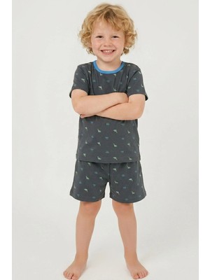 Breeze Erkek Bebek Şortlu Pijama Takım Renkli Dinozor Desenli 9 Ay-3 Yaş, Antrasit