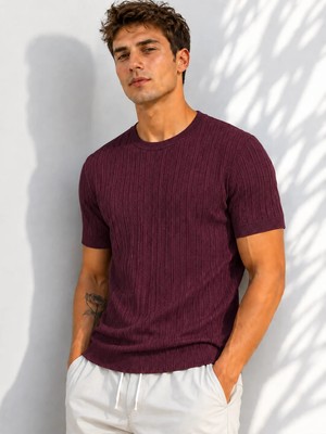 ribana Erkek Bisiklet Yaka Kısa Kollu Esnek Örme Triko T-Shirt 26091