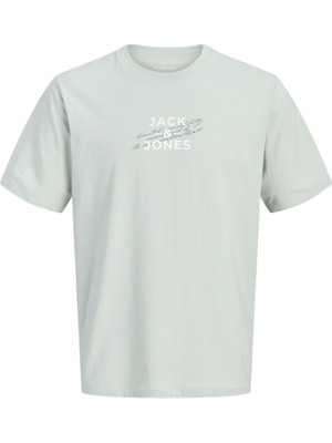 Jack & Jones Erkek Gögüs Baskili Regular Fit Tisört - Eterna
