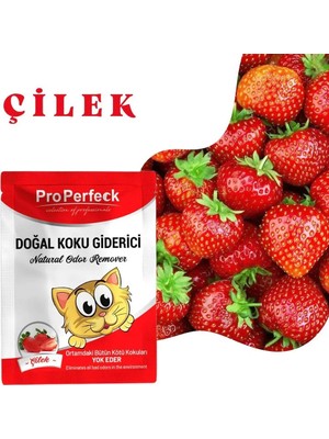TeknoKapsül Perfeck Çilek Kokulu Koku 25 gr