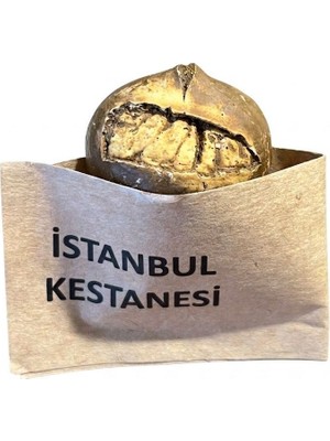 Kestane Magnet