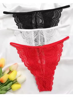 Tegan Büyük Beden Kadın 3'lü Dantel String - Tanga TG270041-B