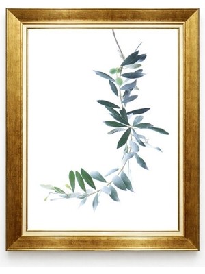Tablore Minimalist Zeytin Dalı Temalı Beyaz Zemin Gold Çerçeveli Kanvas Tablo