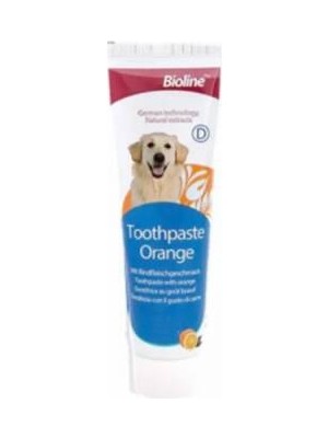 Nova Premium Ex Portakal Aromalı Köpek Diş Macunu 100 gr