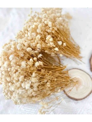 Handmade Krem Cipso Şoklanmış Uzun Ömürlü Süslemeler Için Hediyelik Tasarımlara 50 Dal Mini Cipso