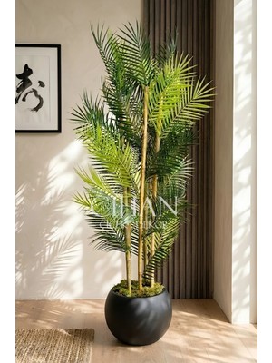 Cihan Çiçekçilik Küre Saksılı 170 cm Yapay Bambu Areka Ağacı