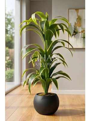 Cihan Çiçekçilik Küre Saksılı Yapay 150 cm Dracaena Fragrans Ağacı