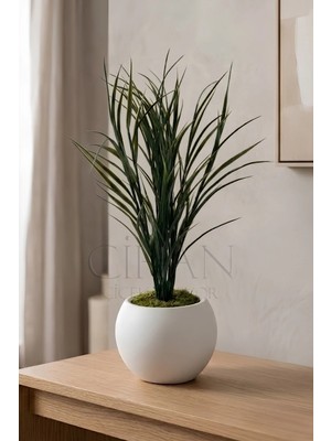 Cihan Çiçekçilik Küre Saksılı Koyu Yeşil Yapay Sazlık 80 cm