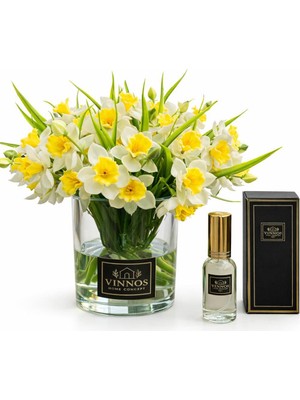 Vinnos Home & Concept Nergis Çiçekli Vazo Seti & Oda Kokusu 30 ml - Premium Dekoratif Hediye