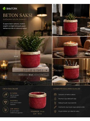 🌿 Bitkitürk El Yapımı Beton Saksı – Kırmızı & Gold Tasarım Dekoratif Saksı | Premium Salon ve Balkon Dekoru | 18 cm