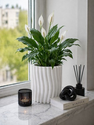 Triora Design Modern Dekoratif Saksı - 16 cm Dikey Dalgalı Tasarım Çiçek Saksısı Salon Ofis Vazo
