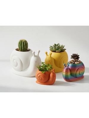 Hibra Print Sevimli Salyangoz Saksı Kaktüs Için 1 Adet