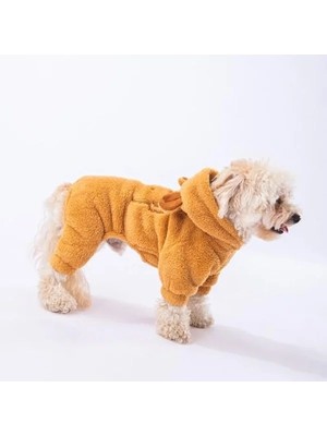 Die Grup Küçük Irk Köpek Tulumu, Peluş Tasarım, Latte Koala