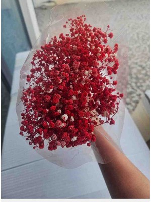 Handmade Kırmızı Şoklanmış Cipso Uzun Ömürlü Kuru Çiçek