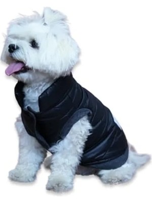 Die Grup Su Geçirmez Kapitone Köpek Montu - Siyah (Medium)