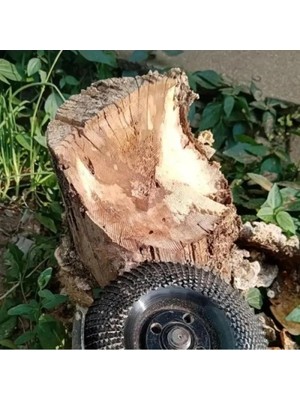 Hereveoyuncak Ahşap Eğe Diiski