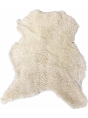Wooly Life %100 Gerçek Koyun Postu Kuzu Post Hakiki