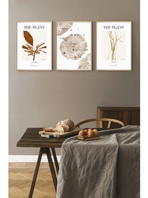 Muyika Design Çerçeveli Tablo Seti 3'lü Line Art Bitki Çizgili Minimalist Doğa Serisi - Dekoratif Kombin