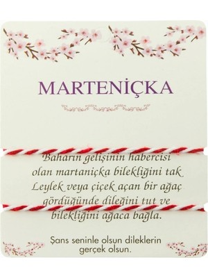 Teknoparkx 2 Adet Marteniçka Ip Bileklik ( Toptan Marteniçka Bileklik) Tknprk-Tkaks3