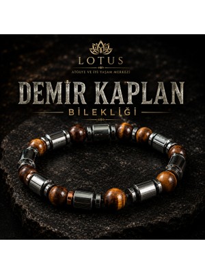 Lotus Atölye ve İyi Yaşam Merkezi 👑 Demir Kaplan Bilekliği – Kaplan Gözü, Boru Hematit & Disk Hematit