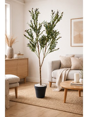 Bitki Dünyam Bitkidunyam Yapay Zeytin 150 cm Boyunda Dekoratif Modern Iç Mekan Salon Ofis Ağacı
