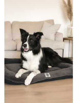 Empressco Jungolica Pet Products Sally, %100 Su Geçirmez Alezli, Çift Taraflı, Dört Mevsim Kullanılabilen Kedi ve Köpek Yatağı - Fiyatı, Yorumları