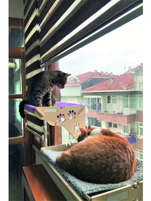 Empressco Ata Home Cama Asılan Kedi Yatağı Vantuzlu - Fiyatı, Yorumları