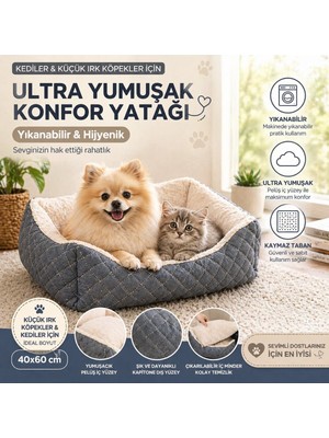 Empressco Petfunny Kedi Köpek Yatağı - Fiyatı, Yorumları