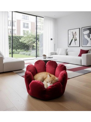 Empressco Patitex Kaktüs Model -Kedi Yatak - Köpek Yatak - Kadife Yatak - Kendinden Minderli - Fiyatı, Yorumları
