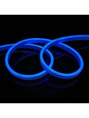 Cata CT-4455M 12V Neon LED Hortum Mavi (50 Mt)
