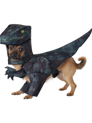 MWX Teknoloji California Costumes Köpek Pupasaurus Rex Kostüm - X-Small - Gri