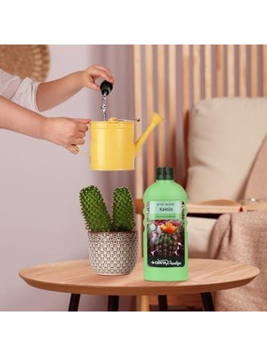MWX Teknoloji Prestige Kaktüsler Için Sıvı Bitki Besini Gübre 500 ml