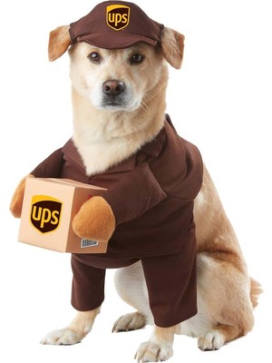 MWX Teknoloji California Costumes Ups Köpek Kostümü Large