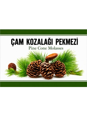 Çam Kozalağı Pekmezi
