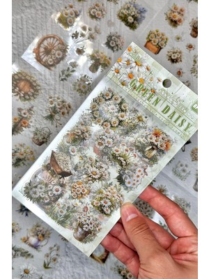 MWX Teknoloji Kolbi 6 Sayfa 80 Adet Şeffaf Papatya Bullet Journal Laptop Ajanda Planlayıcı