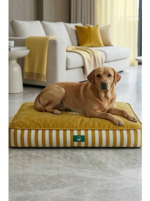 Empressco United Colors Of Benetton BNT-B2504-A Kedi & Köpek Yatağı Sarı Çizgili 60 x 40 cm - Fiyatı, Yorumları