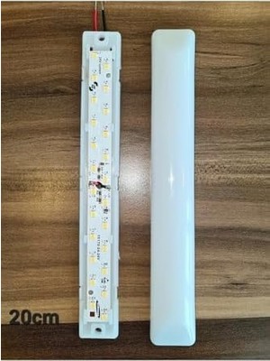 MWX Teknoloji 10'lu Paket 12V Tente LED Aydınlatma Armatür 20CM-OVAL Taban-Gün Işığı 3000K