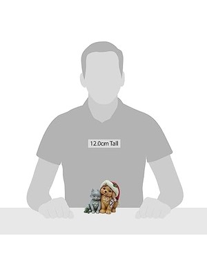 MWX Teknoloji Jim Shore Heartwood Baba Şapkalı Kedi Yavrusu Figürü, 11.1 Cm, Çok Renkli