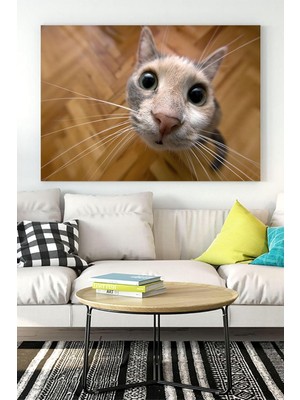 MWX Teknoloji (PSTER16508) Kedi Eğlenceli Mizahi Kanvas Tablo 4 50 x 70