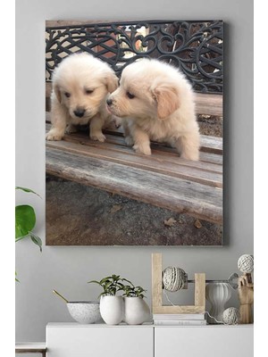 MWX Teknoloji (PSTER16105) Retriever Hayvan Kanvas Tablo 2 40 x 60